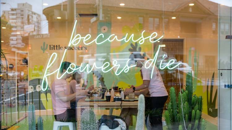 Window of terrarium studio with neon sign that reads 'because flowers die'.