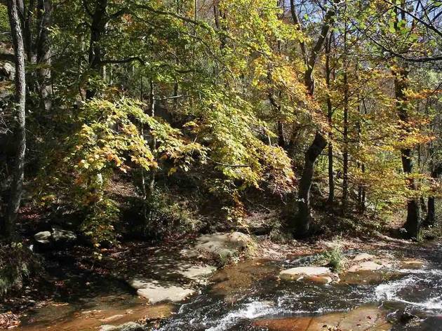 Casa Montseny Foto: Airbnb Casa Montseny Foto: Airbnb