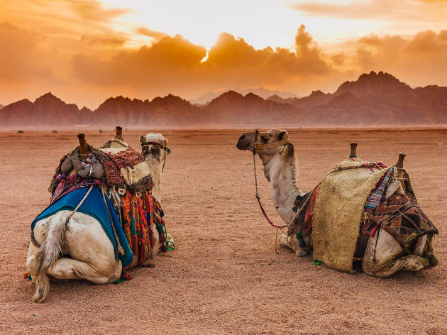 Sharm el Sheikh Egypt Sharm el Sheikh Egypt