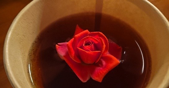 Keisei Rose Garden