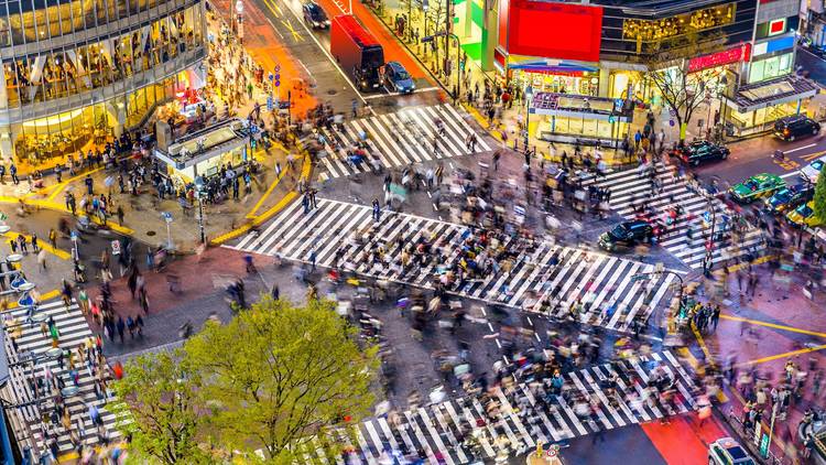 Shibuya Scramble Crossing