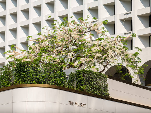 香港四月好去處21 超級月亮21 花樣年華 展覽