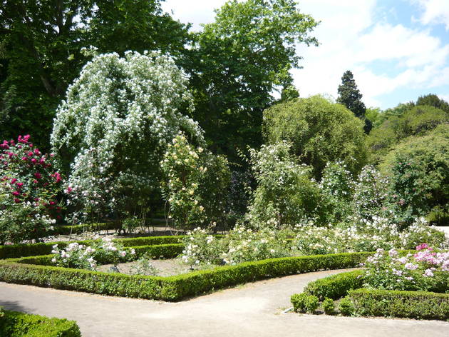 Rosaleda Jardín Botánico Rosaleda Jardín Botánico