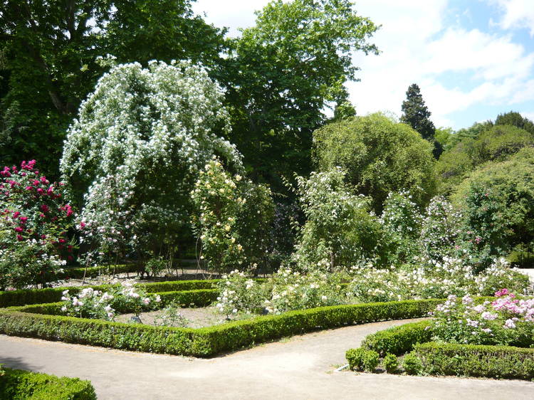 Rosaleda del Jardín Botánico