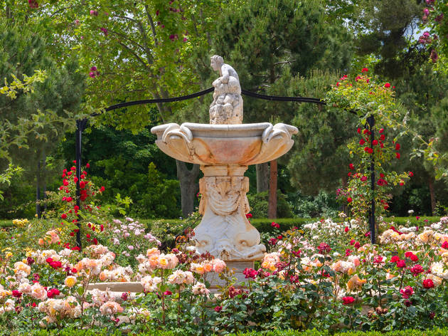 Rosaleda Retiro Rosaleda Retiro