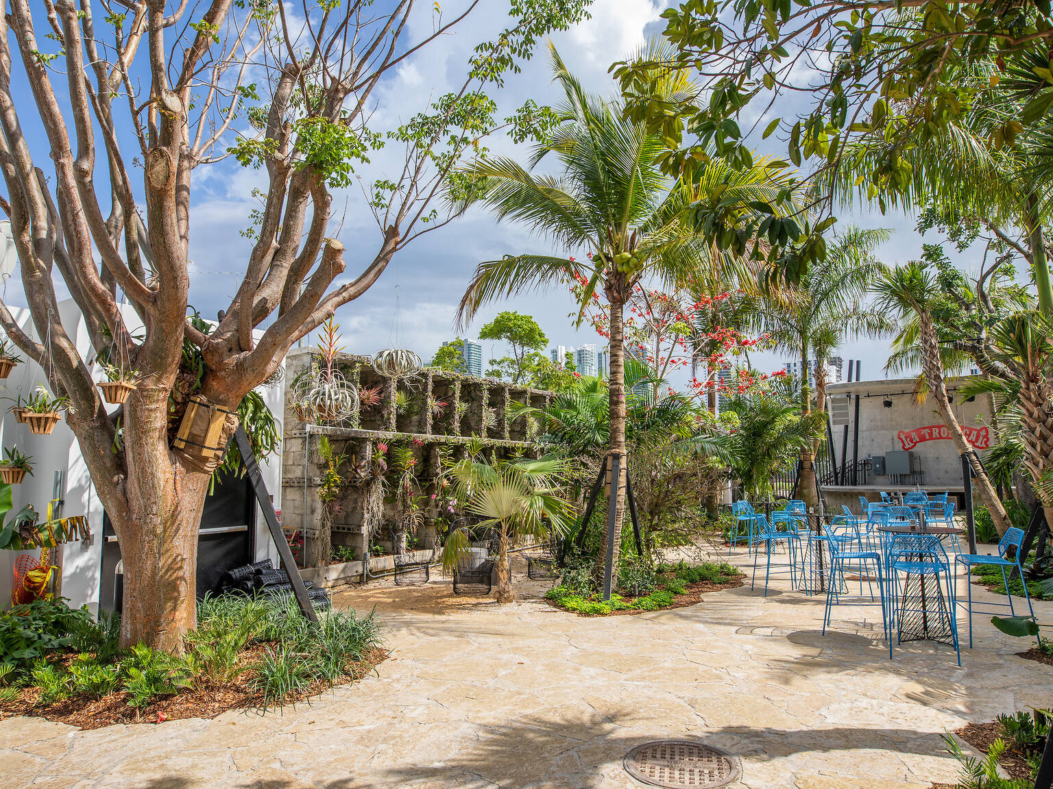 17 Best Wynwood Bars, From Wine Gardens to Rooftop Bars and More