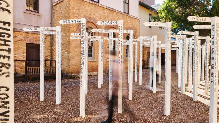 A blurred figure walks through Fiona Hall's signpost installation