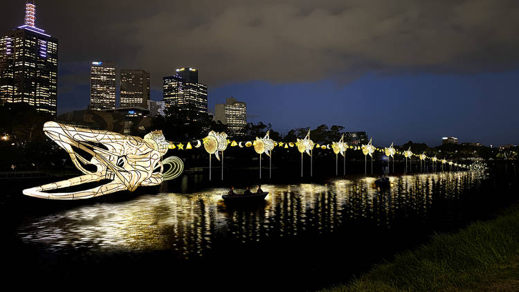 A glowing eel sculpture alongside the Yarra River