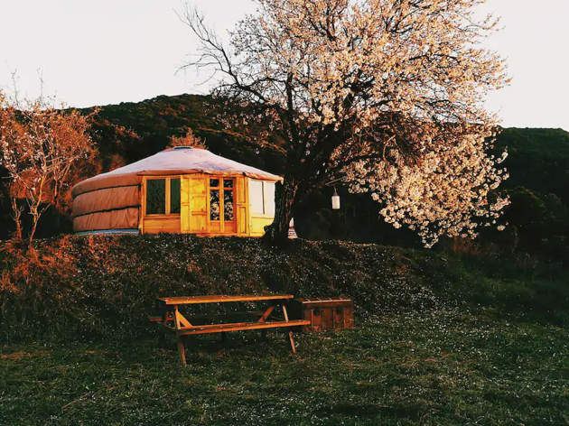 Airbnb, Yurta Airbnb, Yurta