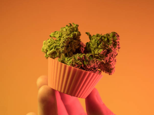 Cooking with cannabis Cooking with cannabis