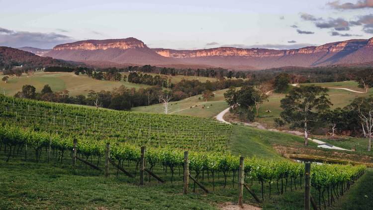 Landscape photograph of Dryridge Estate at sunset.