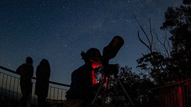 Person looks through telescope, they are silhouetted against the night sky.