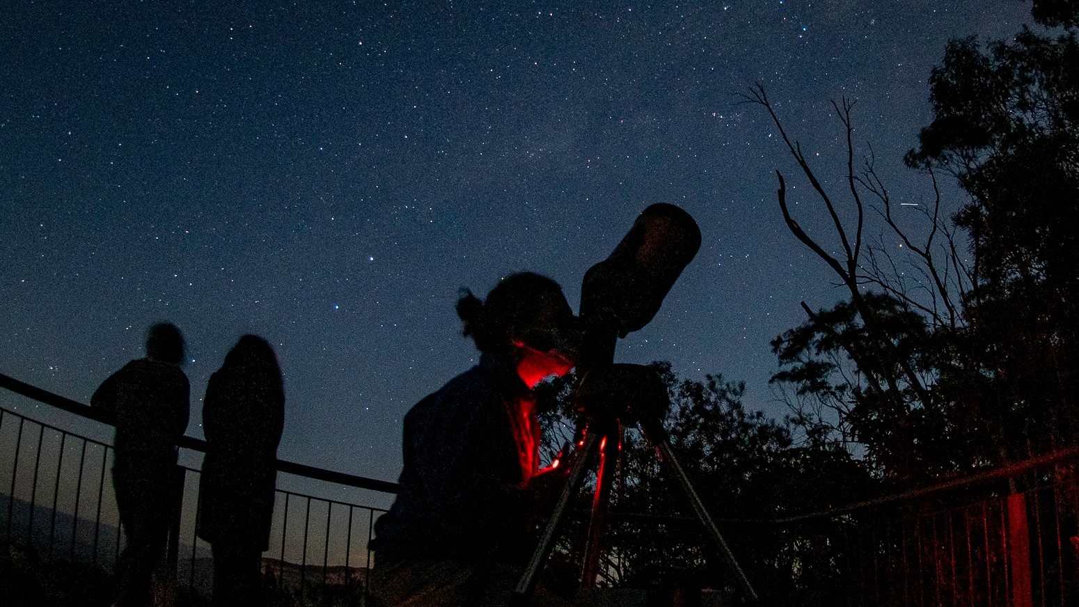 Wine Tasting Stargazing Tour in the Blue Mountains | Things to do in Sydney