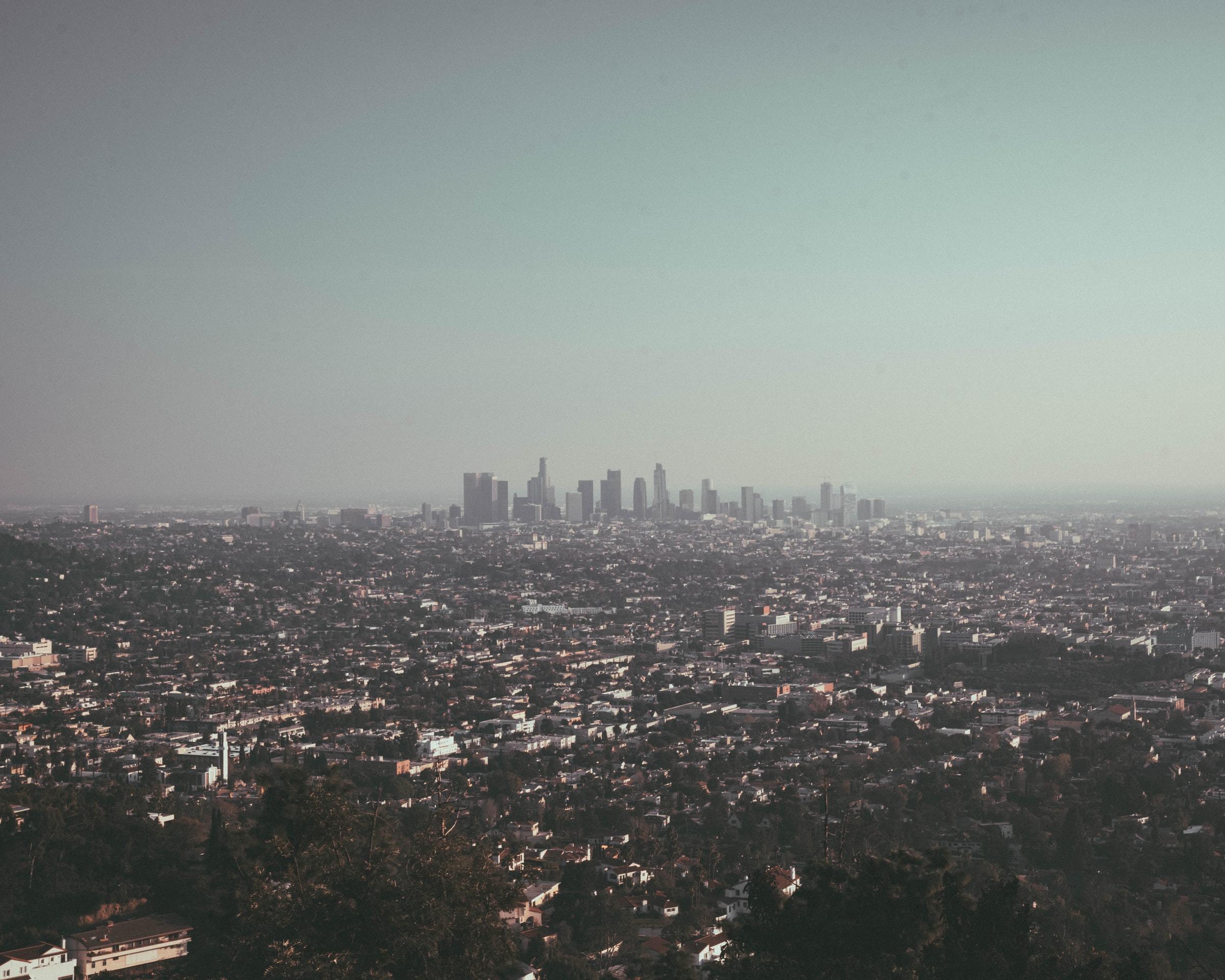 la city skyline