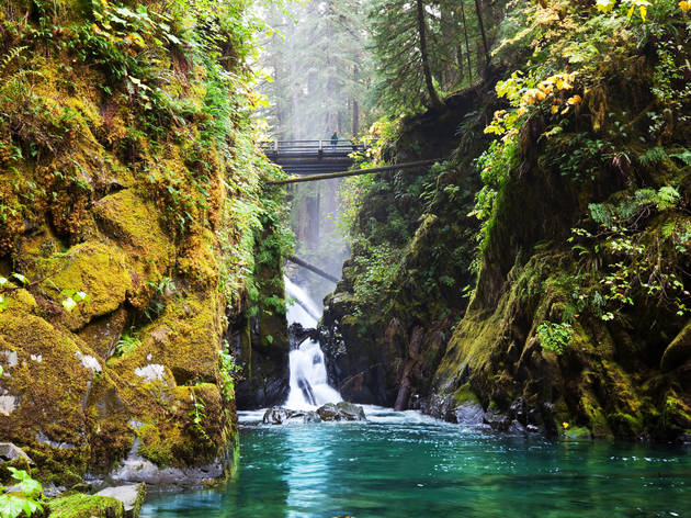 Olympic National Park Washington Sol,Duc,Waterfall