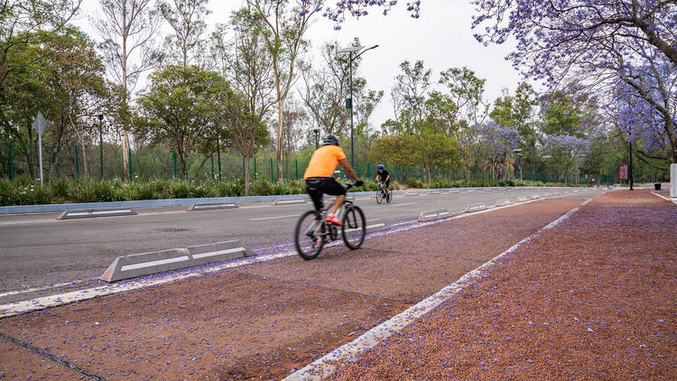 hombre en bicicleta en un parque