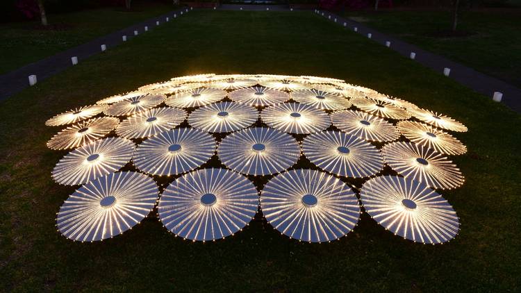 Tessellating steel circles illuminated in a starburst pattern shot at dusk.