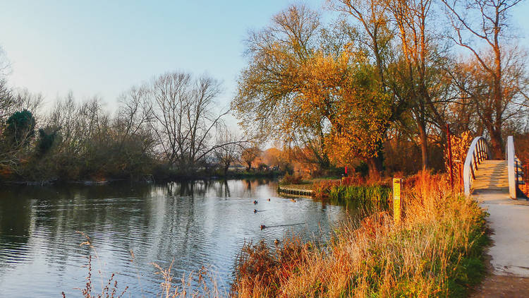 River Isis, Port Meadow, Oxford