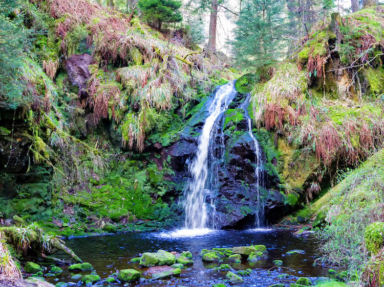 Linhope Spout, Northumberland