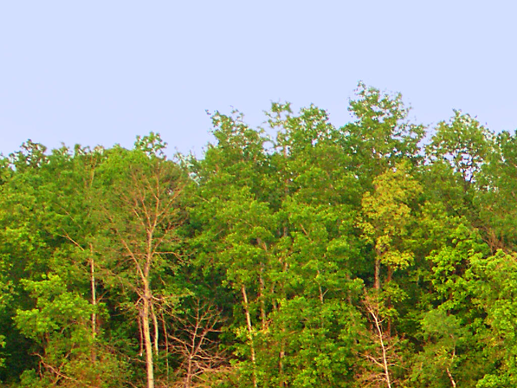 22 Best Places for Hiking Near Chicago in 2022