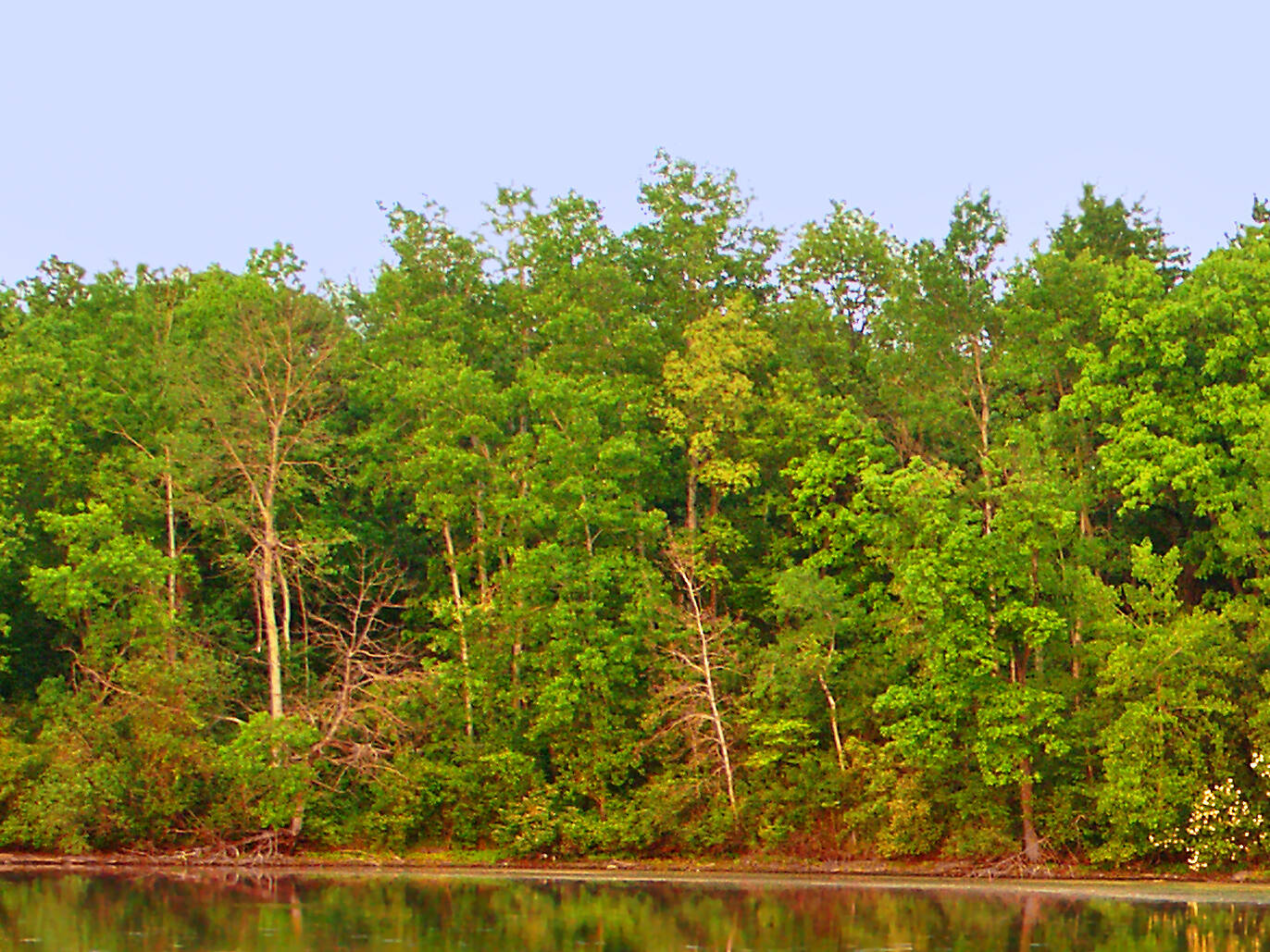 Pretty Places to Hike Near Me