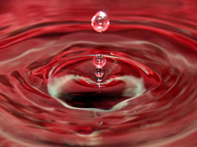 chuva de sangue Apocalipses – Os Vários Fins do Mundo da História de Portugal (Contraponto, 16,60€)