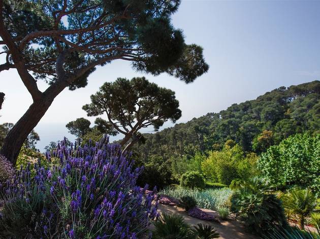 Jardins de Cap Roig, Costa Brava Jardins de Cap Roig, Costa Brava