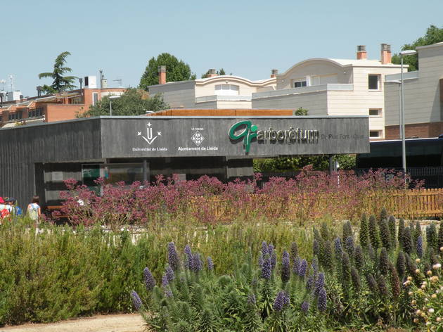 Arborètum, Lleida Arborètum, Lleida