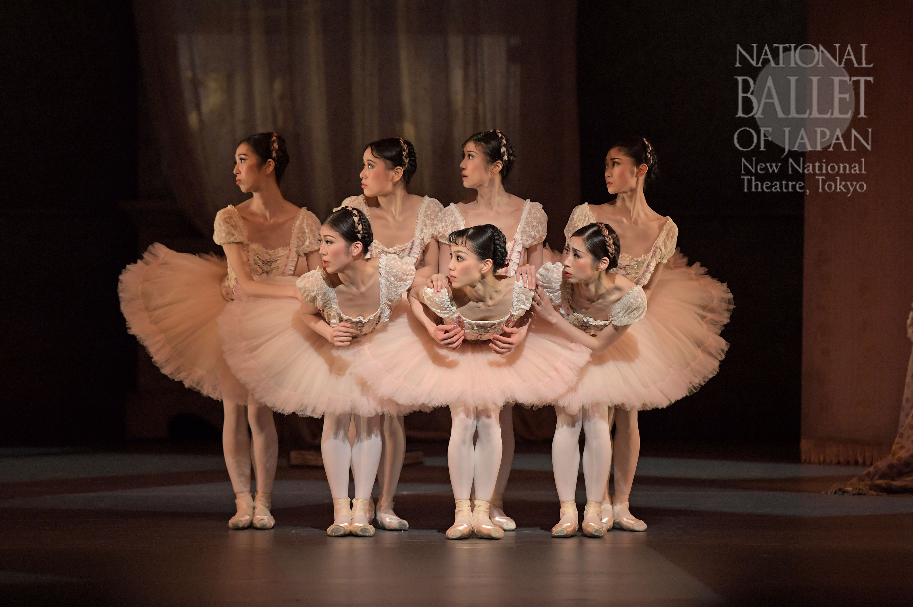 Coppelia