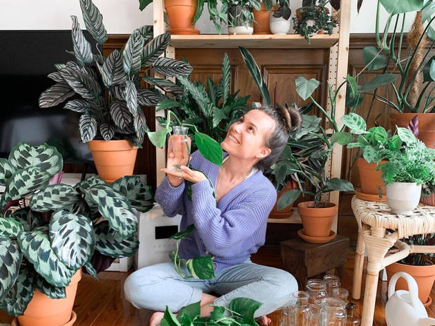@atripeirinha Plantas, @atripeirinha, Sofia Manuel