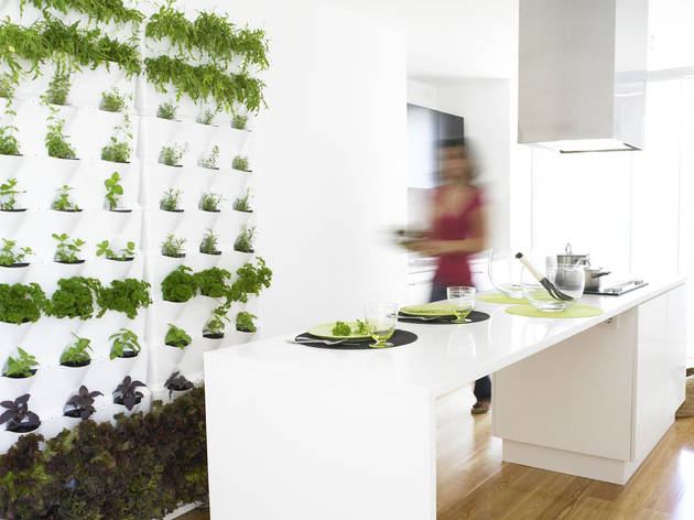 Minigarden Compras, Plantas, Minigarden