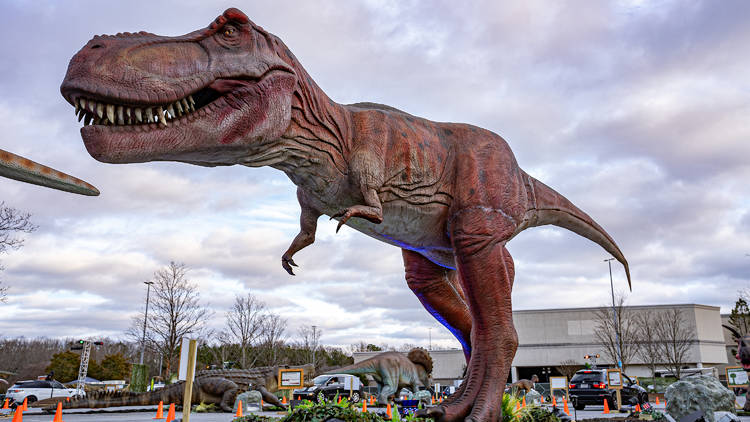 Dino Safari at Fox Valley Mall in Aurora