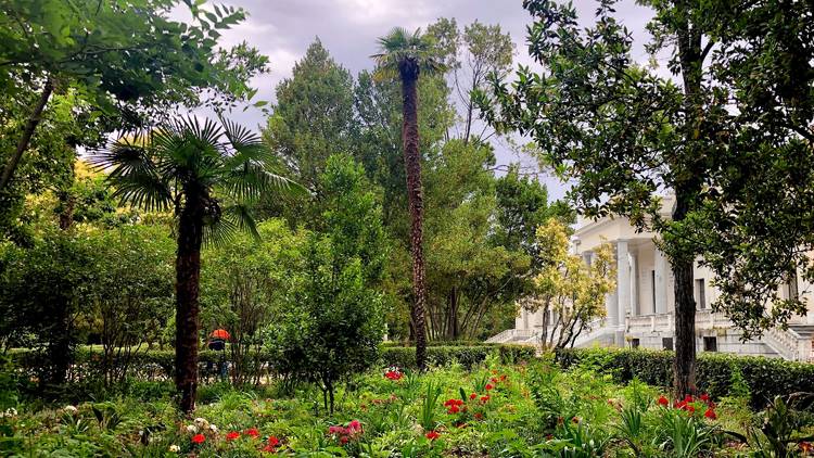 Jardines de la Finca de Vista Alegre