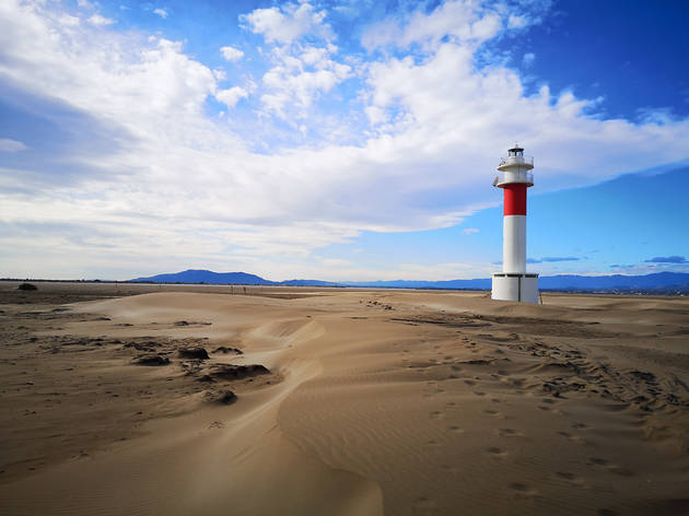 Punta del Fangar, Delta de l'Ebre Punta del Fangar, Delta de l'Ebre