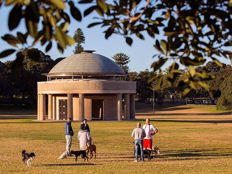 Pedal through Centennial Park