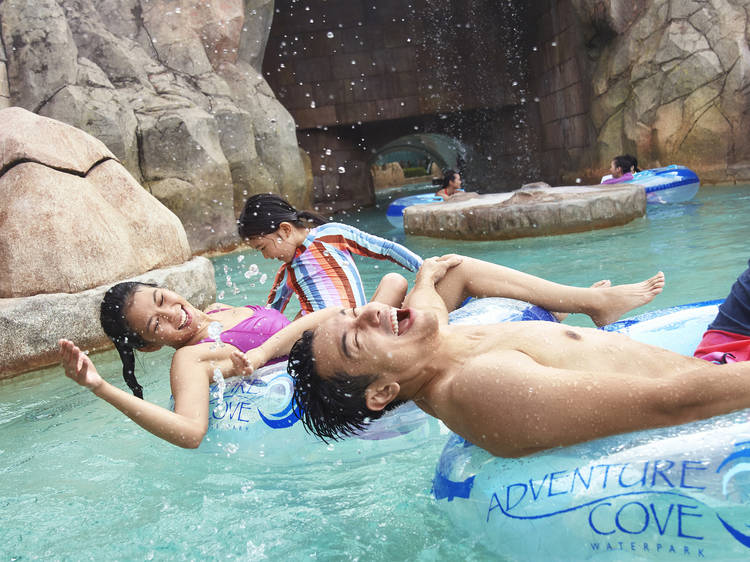 Adventure Cove Waterpark reopens on May 12