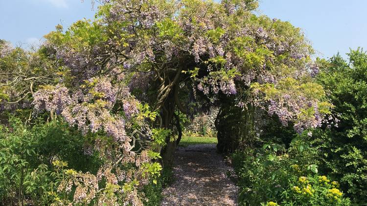 Greys Court, Oxfordshire