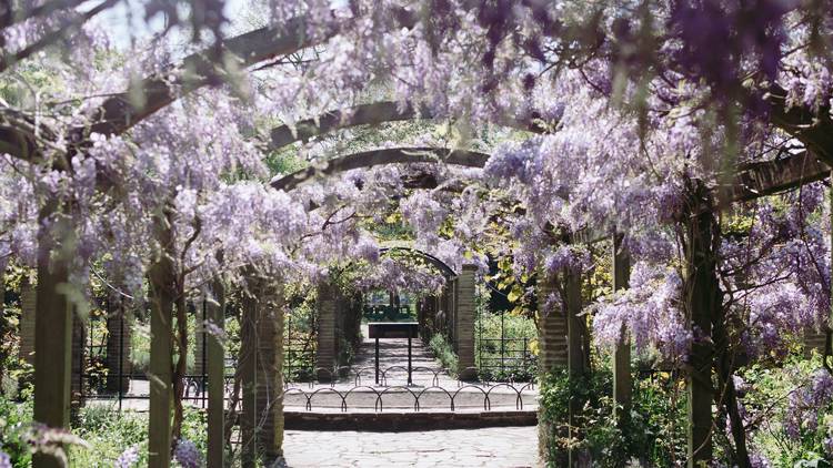 Peckham Rye Park, London