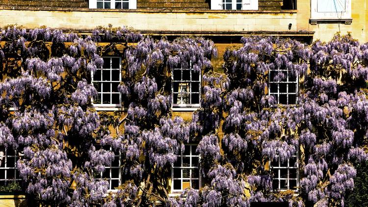 Christ’s College, Cambridge