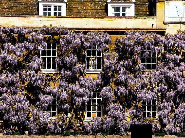 Christ’s College, Cambridge