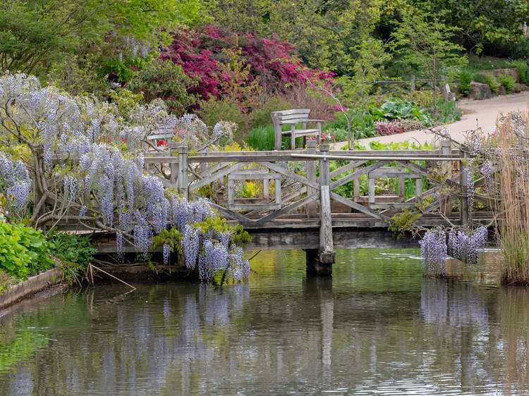 RHS Garden Wisley, Surrey