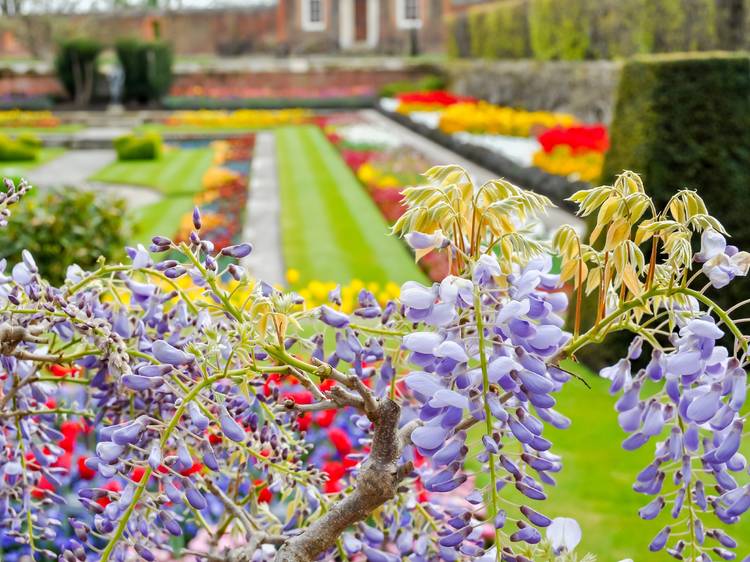 Hampton Court Palace, Surrey