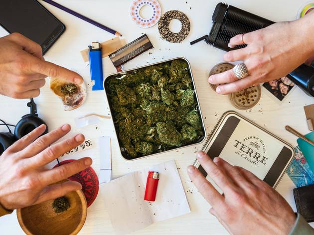 weed weed