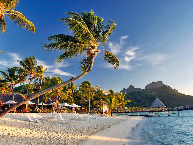 Bora Bora Bora Bora