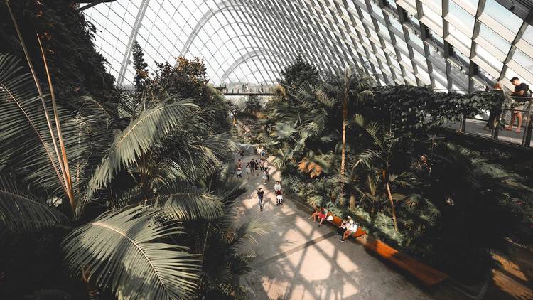 Gardens by the Bay 