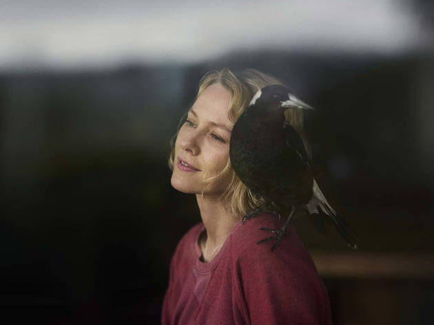Un milagro inesperado con Naomi Watts Un milagro inesperado con Naomi Watts