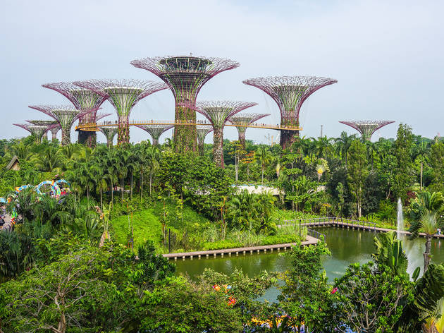 Singapore Botanical Garden Singapore Botanical Garden