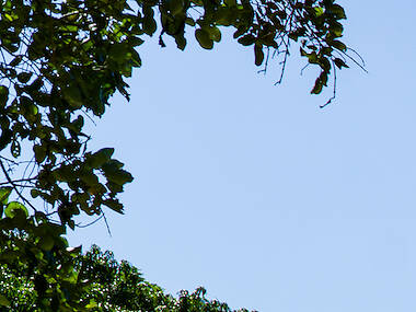 The 13 best botanical gardens in the world The 13 best botanical gardens in the world