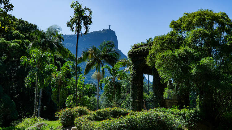 12 Best Botanical Gardens in the World