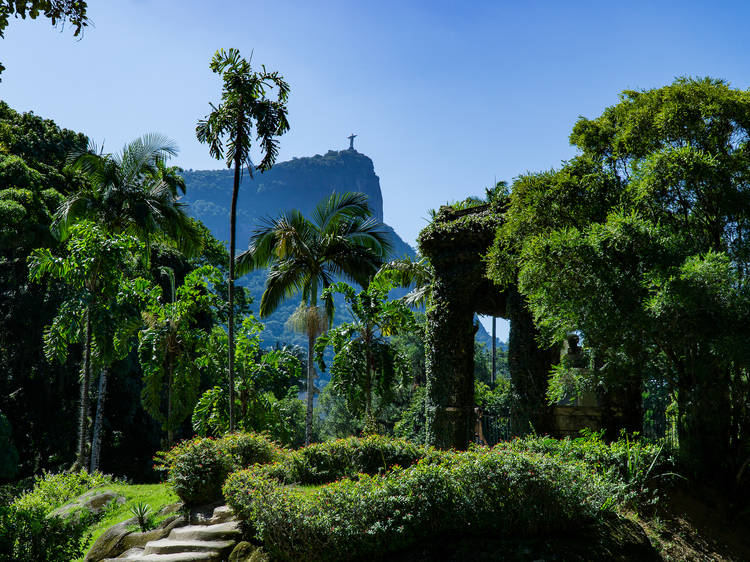 Jardim Botânico, Rio de Janeiro 